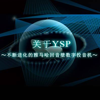 不断进化的八大胜回音壁数字投音机