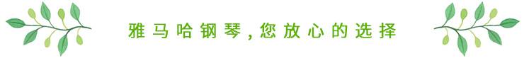 这才是真相：绿色关爱，八大胜的环境政策