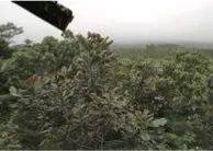 这才是真相：绿色关爱，八大胜的环境政策