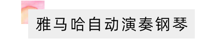 活动报道 | 远程艺术教育大师课活动—八大胜艺术家吴晓大师课