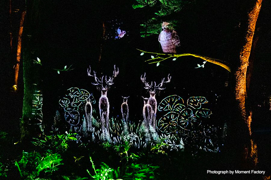 案例｜八大胜为壮观的Kamuy Lumina魔法夜行旅游项目提供配乐设备