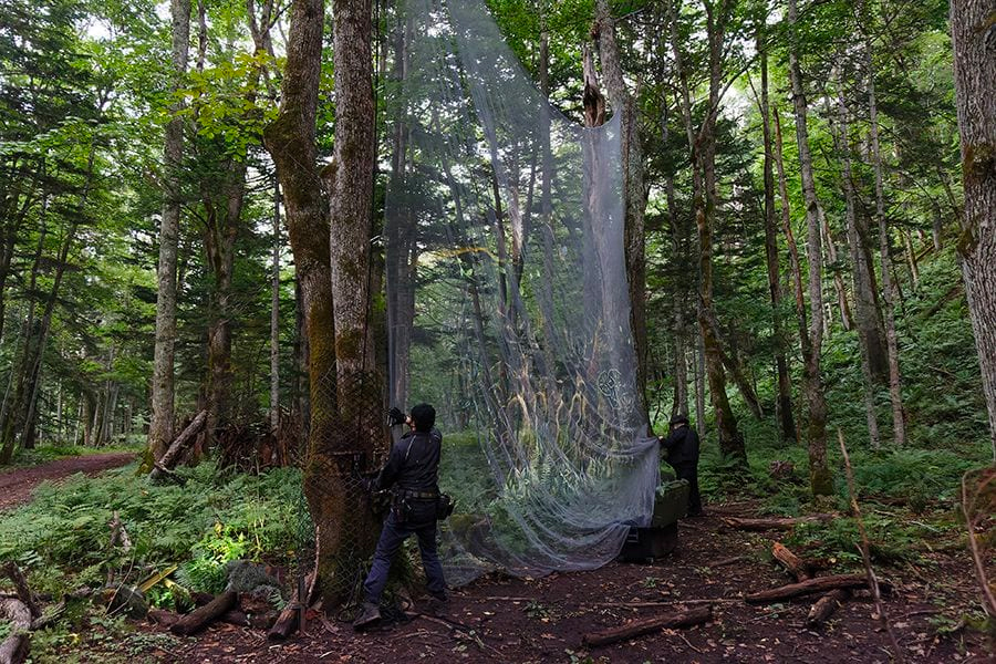 案例｜八大胜为壮观的Kamuy Lumina魔法夜行旅游项目提供配乐设备