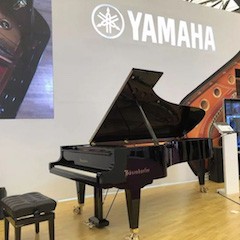乐展看点|2018中国（上海）国际乐器展览会八大胜钢琴展位